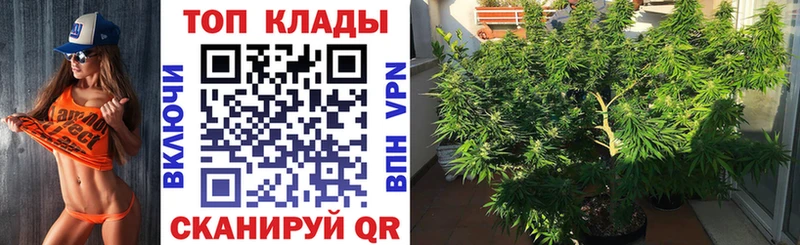 Где купить Мышкин Cocaine  АМФЕТАМИН  СК  Бошки Шишки  Меф 
