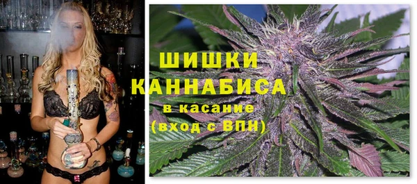 шишки Аркадак