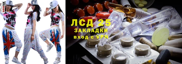 хмурый Алексин