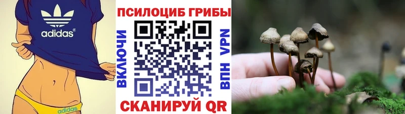 Галлюциногенные грибы ЛСД  Мышкин 